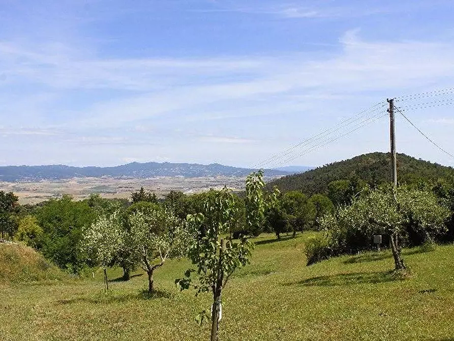 Immagine 15 di Villa in vendita  a Rosignano Marittimo