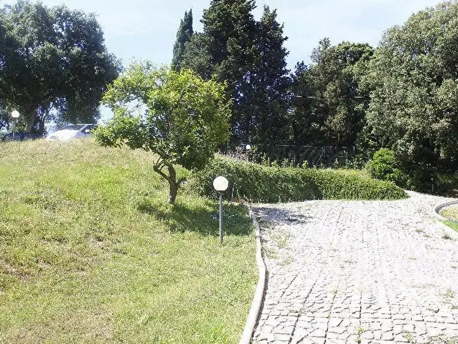 Immagine 16 di Villa in vendita  a Rosignano Marittimo