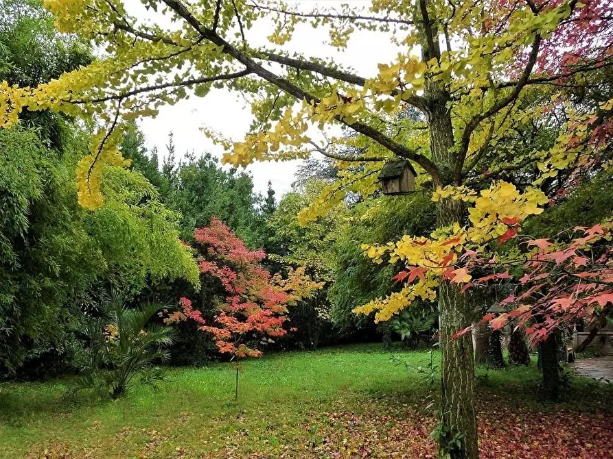 Immagine 9 di Casa trifamiliare in vendita  a Sarzana