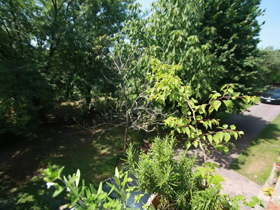 Immagine 6 di Villa in vendita  a Lucca