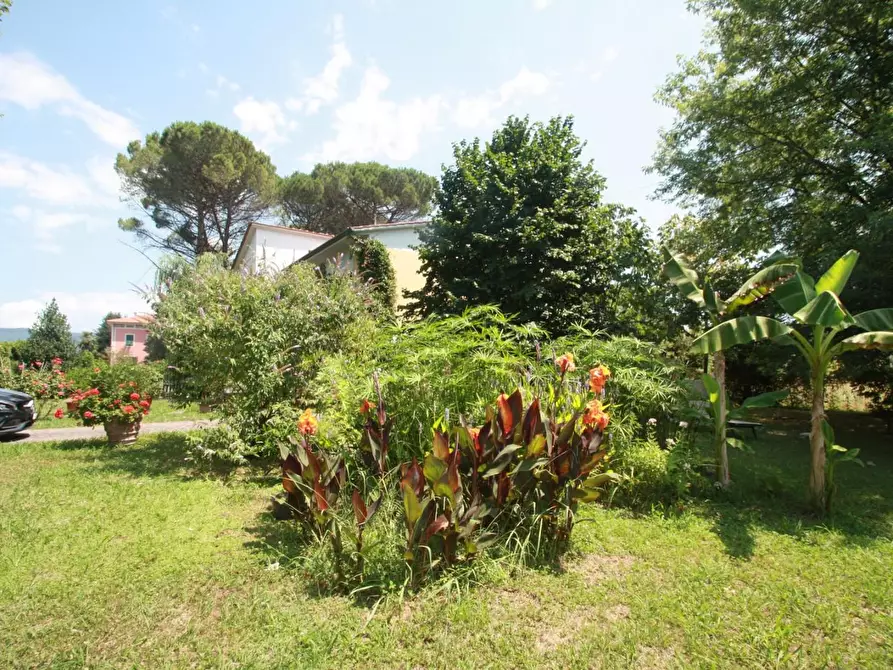 Immagine 3 di Villa in vendita  a Lucca
