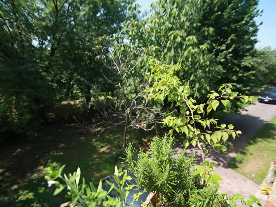 Immagine 2 di Villa in vendita  a Lucca