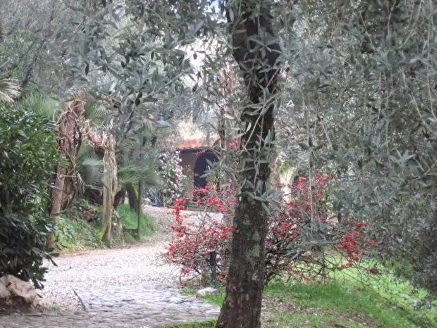 Immagine 1 di Villa in vendita  a Lucca