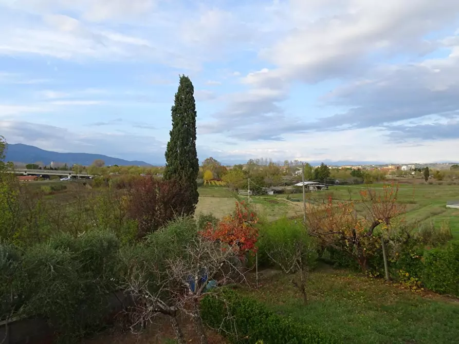 Immagine 3 di Villa in vendita  a Pontedera