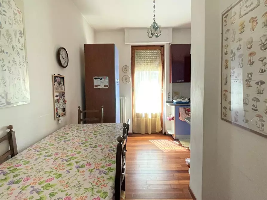 Immagine 7 di Appartamento in affitto  a Pisa