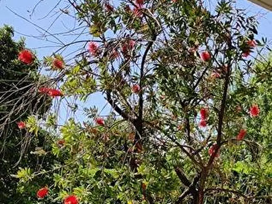 Immagine 21 di Appartamento in vendita  a Carrara