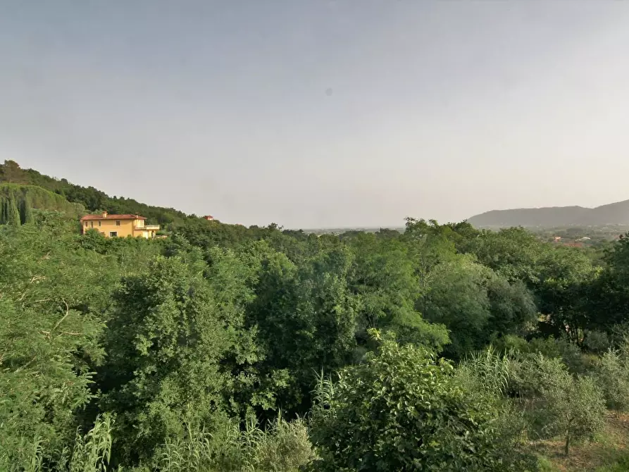 Immagine 44 di Villa in vendita  a Castelnuovo Magra