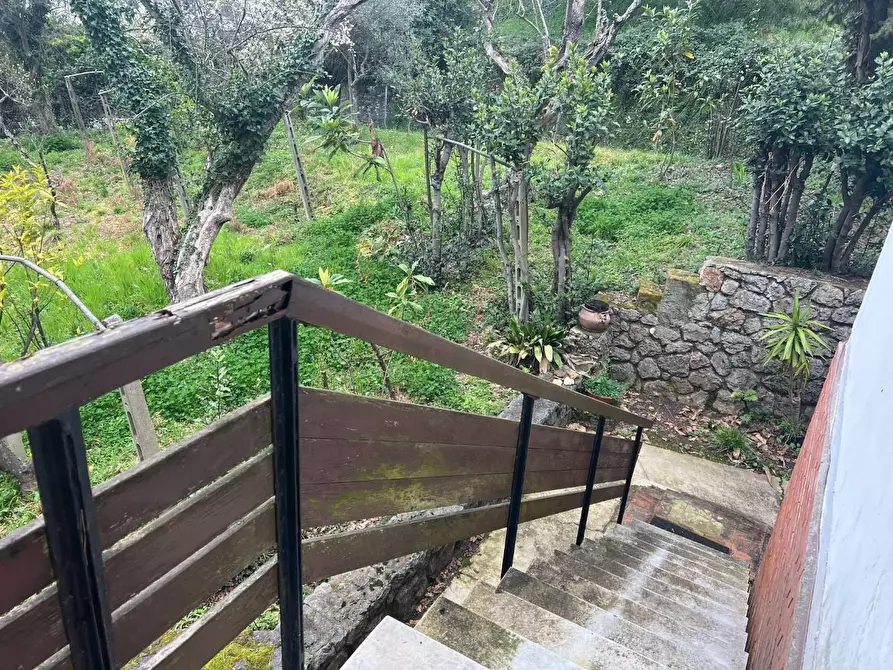 Immagine 15 di Villa in vendita  a Massa