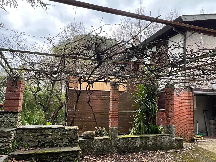 Immagine 3 di Villa in vendita  a Massa