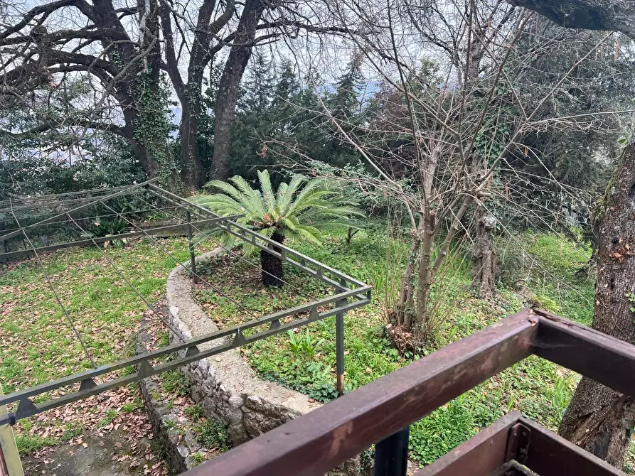 Immagine 16 di Villa in vendita  a Massa