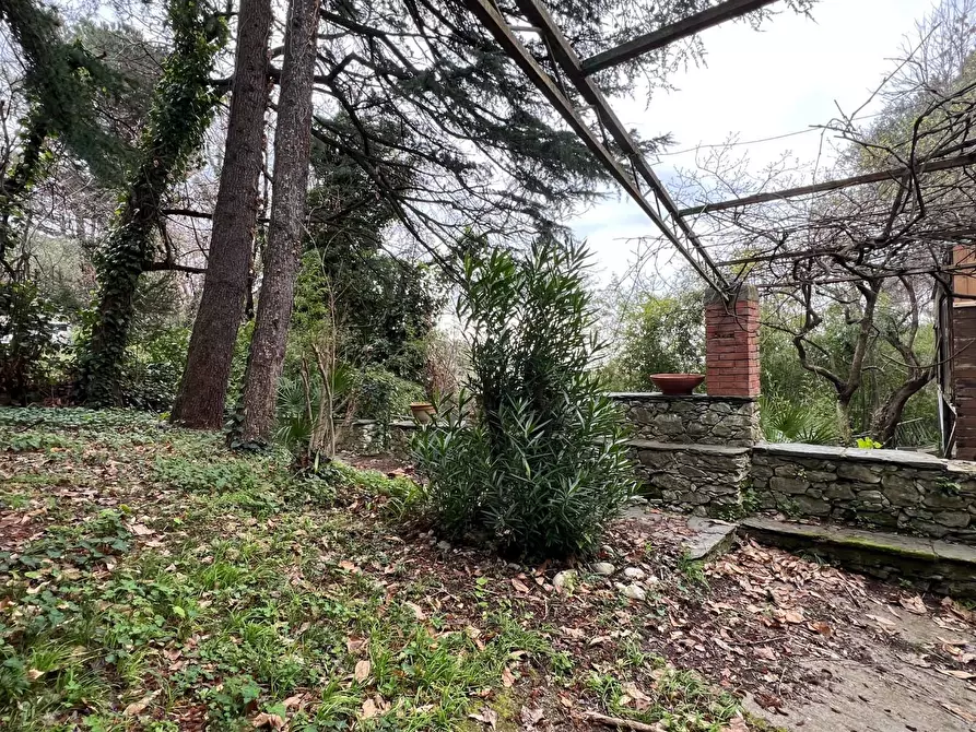 Immagine 6 di Villa in vendita  a Massa