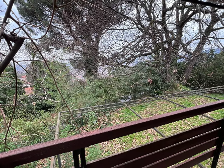 Immagine 21 di Villa in vendita  a Massa