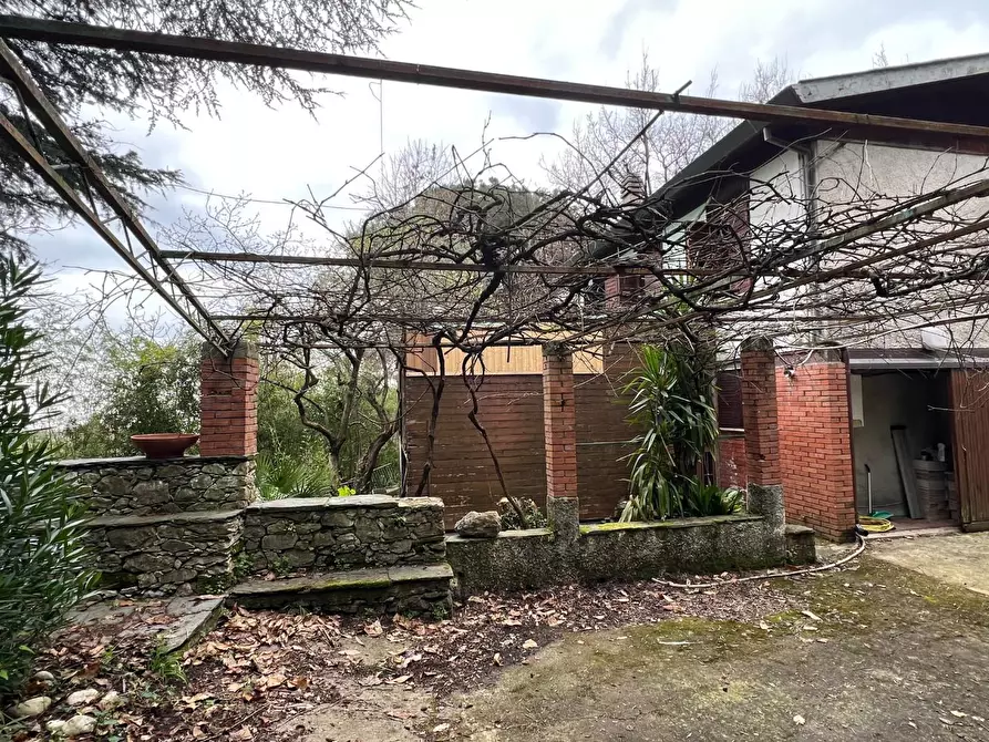 Immagine 5 di Villa in vendita  a Massa