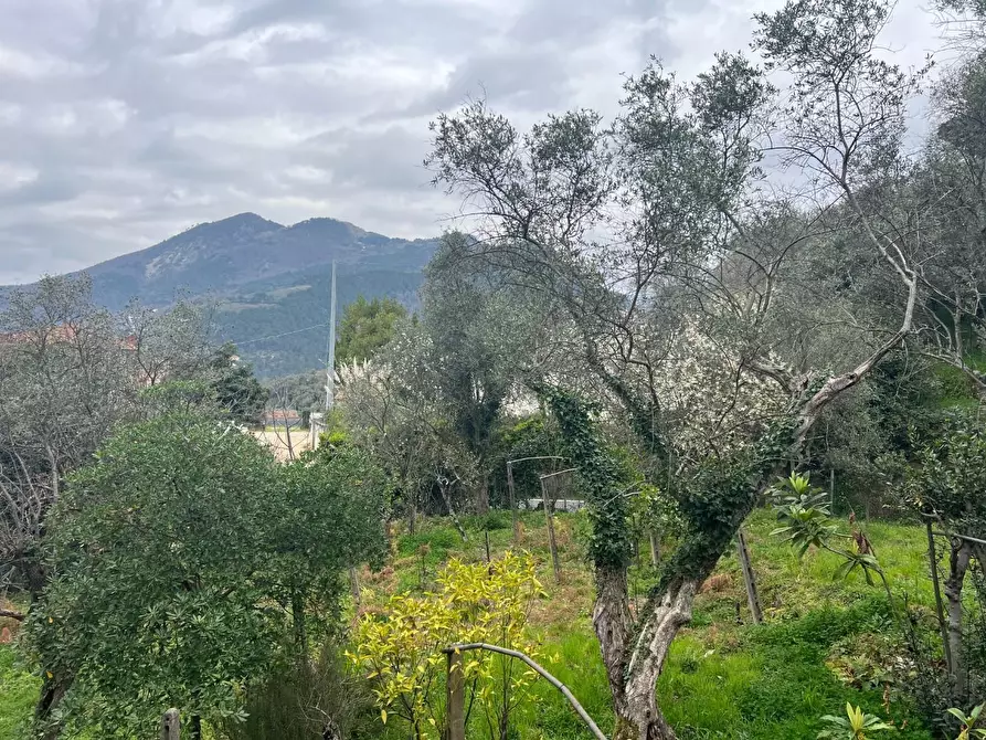 Immagine 17 di Villa in vendita  a Massa