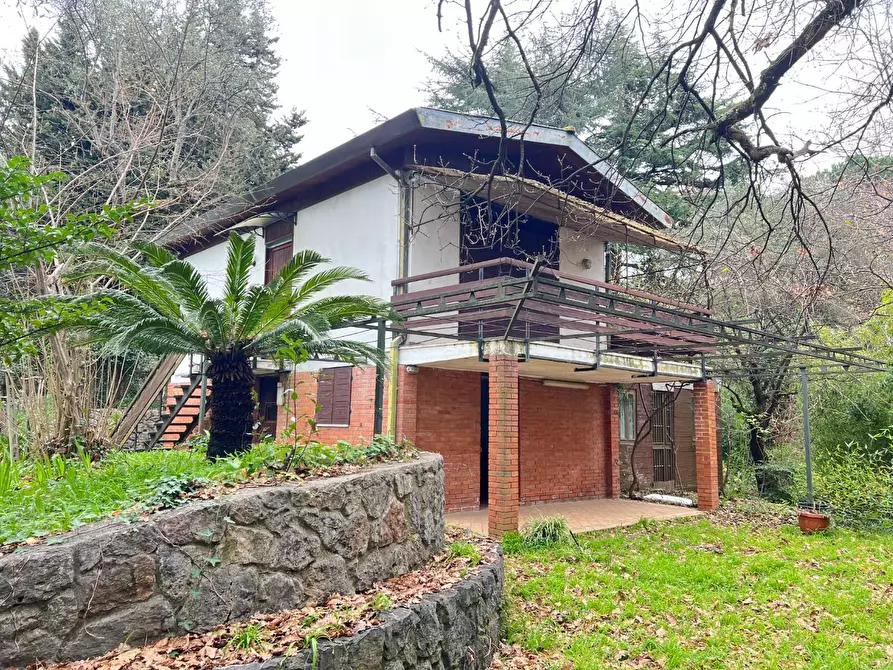 Immagine 8 di Villa in vendita  a Massa