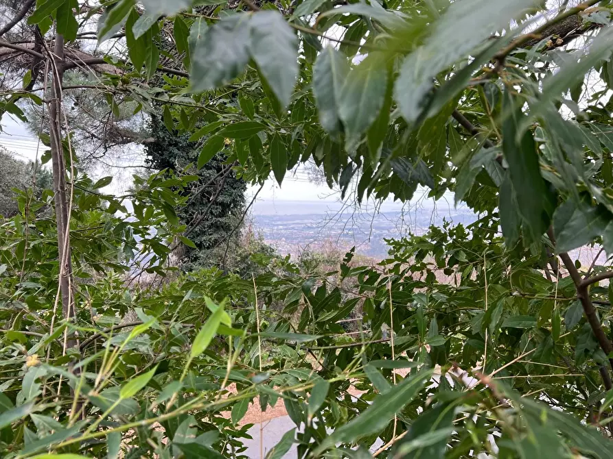 Immagine 32 di Villa in vendita  a Massa