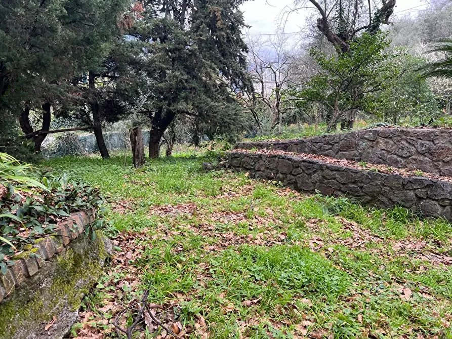 Immagine 34 di Villa in vendita  a Massa