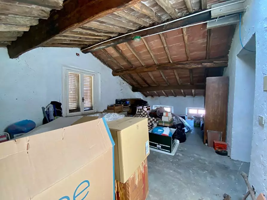 Immagine 35 di Villa in vendita  a Capannori