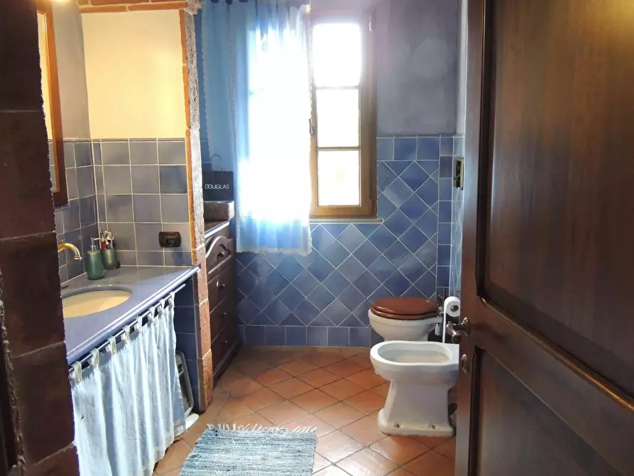 Immagine 27 di Casa colonica in vendita  a Fucecchio