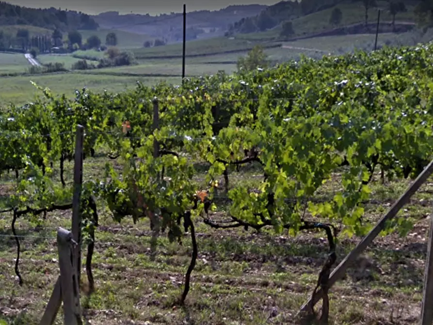 Immagine 1 di Terreno agricolo in vendita  a San Miniato