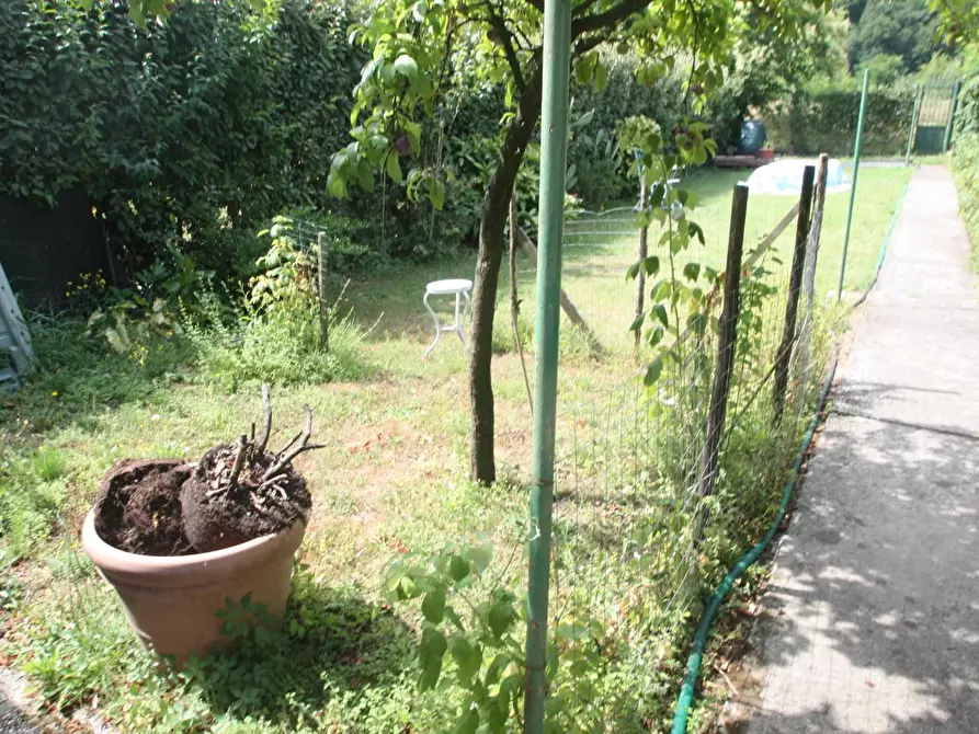 Immagine 24 di Appartamento in vendita  a Lucca