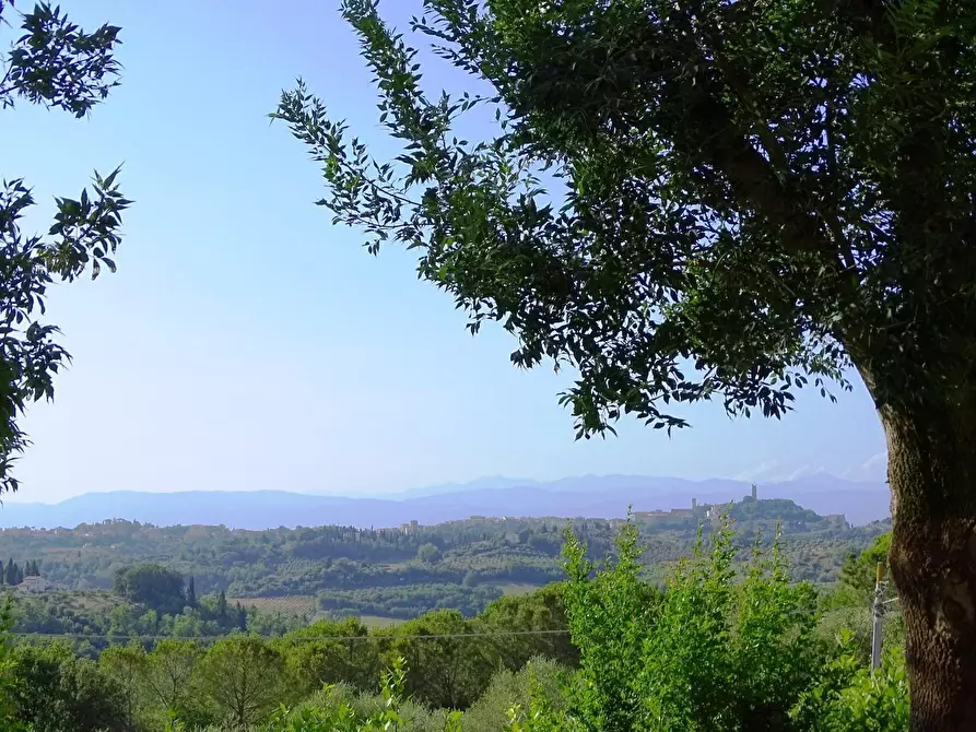 Immagine 3 di Villa in vendita  a San Miniato