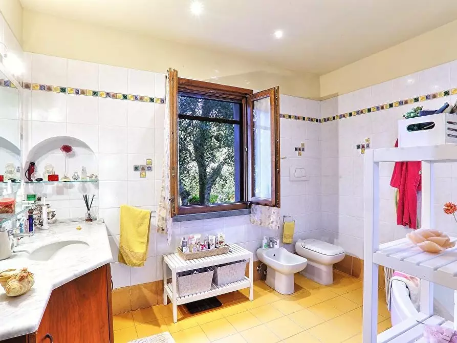 Immagine 22 di Casa colonica in vendita  a Castelfiorentino