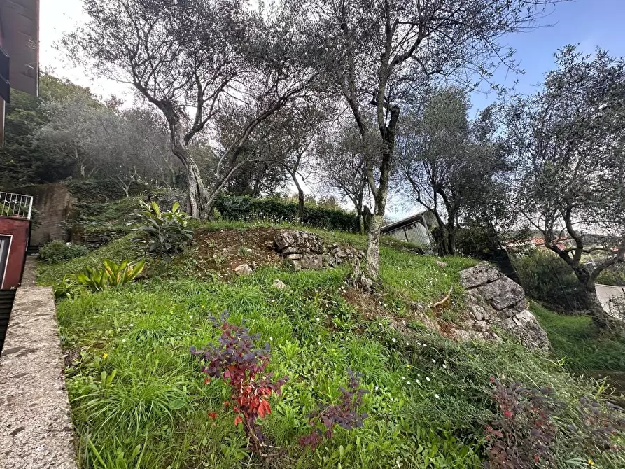 Immagine 11 di Appartamento in vendita  a Ameglia