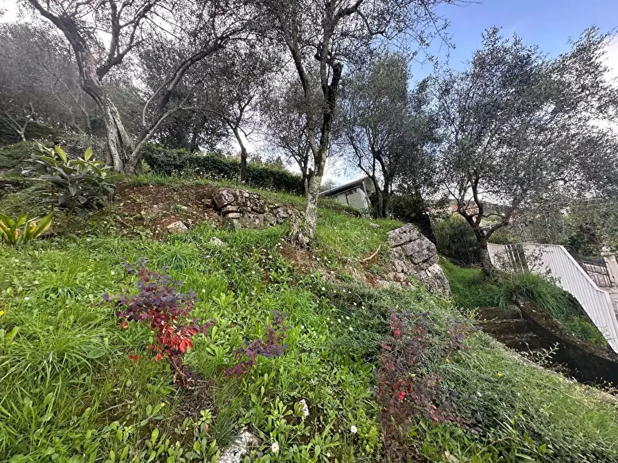 Immagine 12 di Appartamento in vendita  a Ameglia