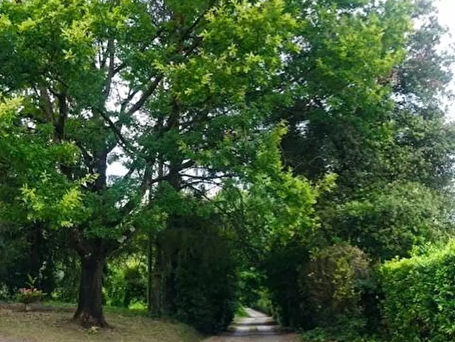 Immagine 1 di Casa colonica in vendita  a Fucecchio