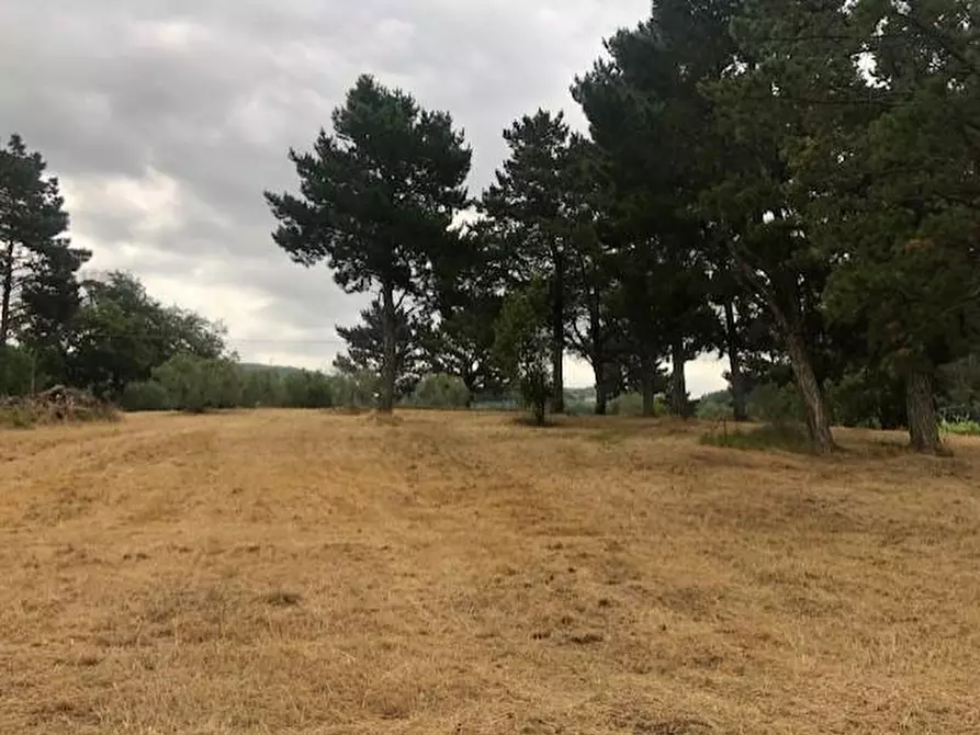 Immagine 8 di Casa colonica in vendita  a Monsummano Terme