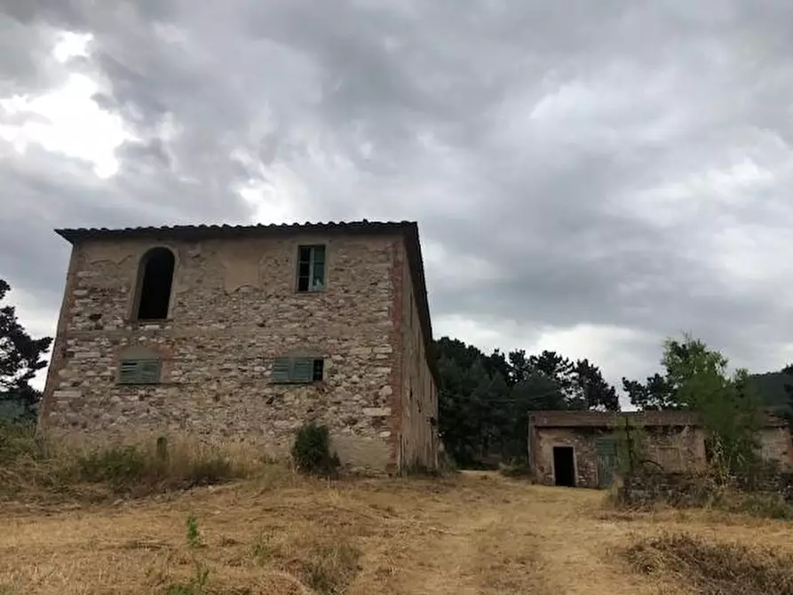 Immagine 2 di Casa colonica in vendita  a Monsummano Terme