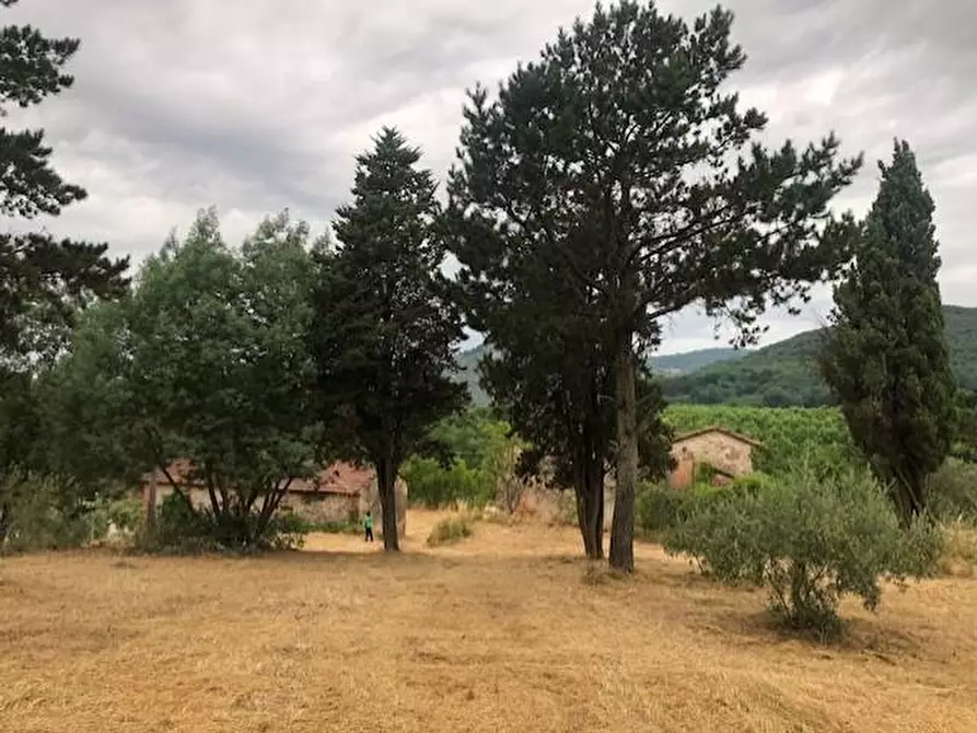 Immagine 9 di Casa colonica in vendita  a Monsummano Terme