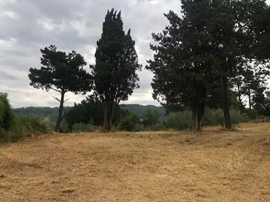 Immagine 7 di Casa colonica in vendita  a Monsummano Terme