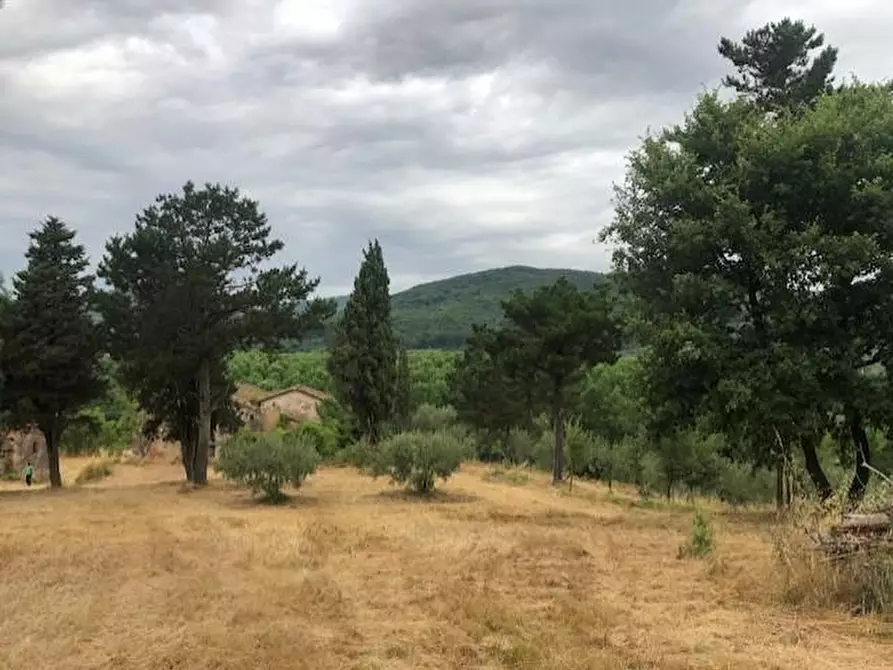 Immagine 10 di Casa colonica in vendita  a Monsummano Terme