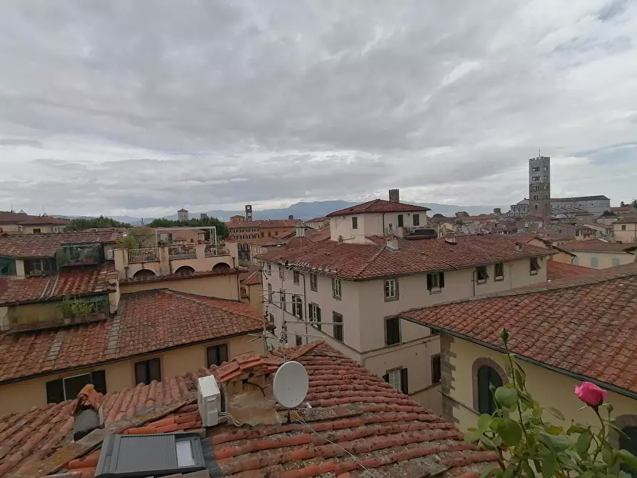 Immagine 3 di Appartamento in vendita  a Lucca