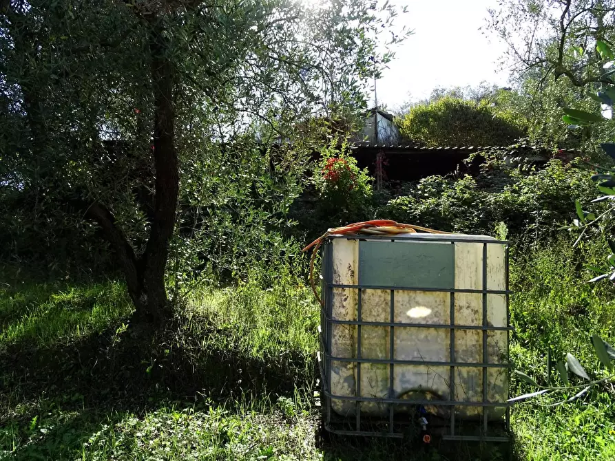 Immagine 16 di Villa in vendita  a San Miniato