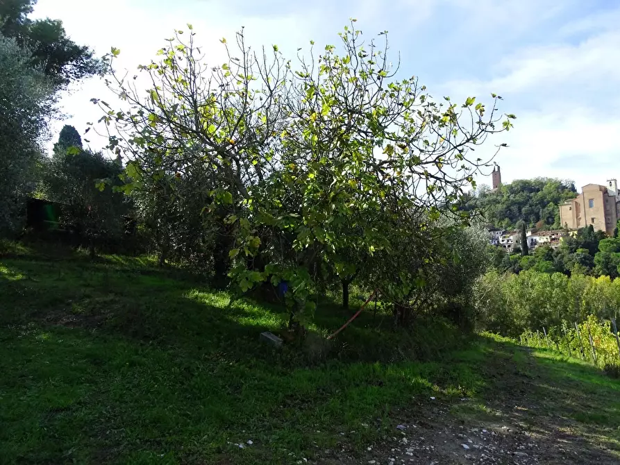 Immagine 14 di Villa in vendita  a San Miniato