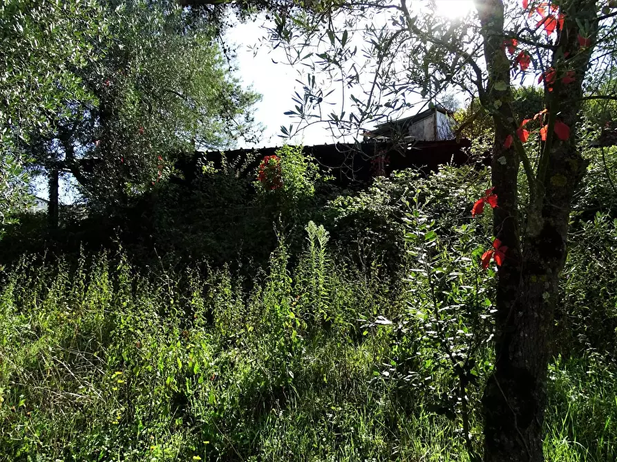 Immagine 8 di Villa in vendita  a San Miniato