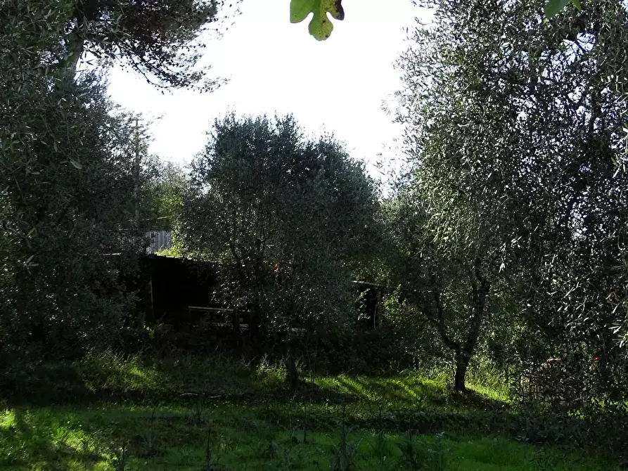 Immagine 17 di Villa in vendita  a San Miniato