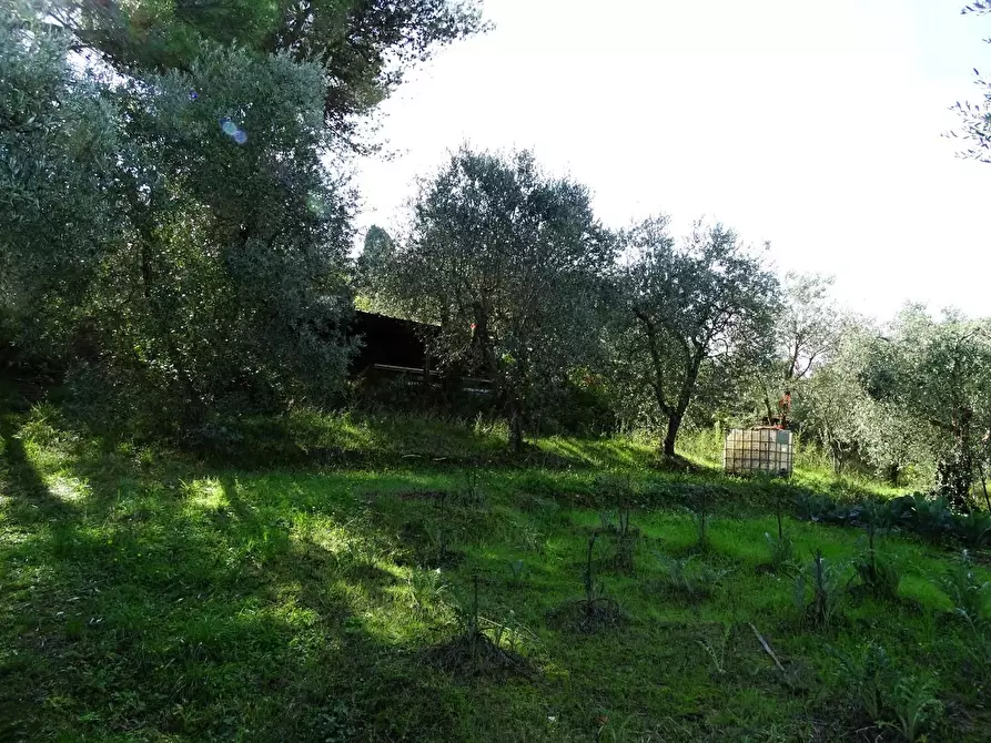 Immagine 12 di Villa in vendita  a San Miniato