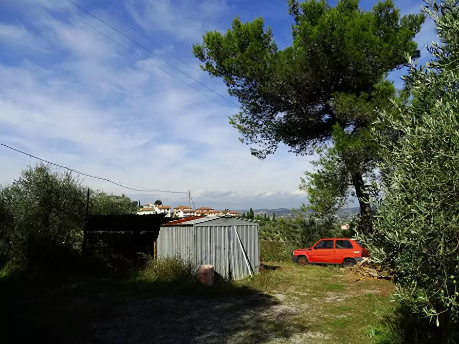 Immagine 15 di Villa in vendita  a San Miniato