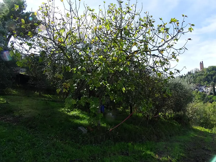 Immagine 18 di Villa in vendita  a San Miniato
