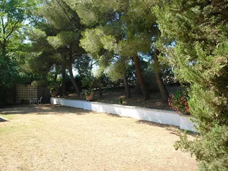 Immagine 27 di Casa colonica in vendita  a Rosignano Marittimo