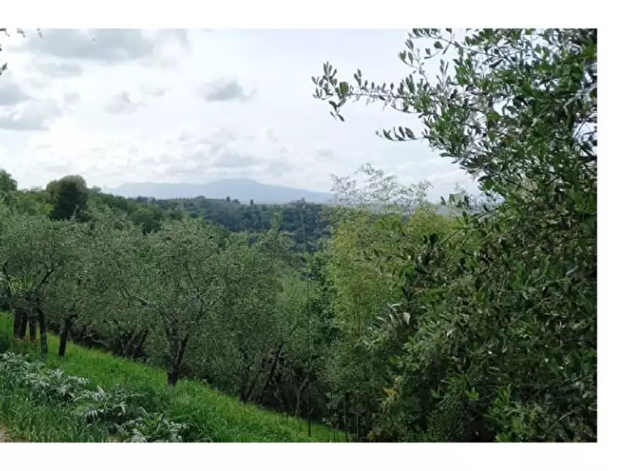 Immagine 8 di Appartamento in vendita  a San Miniato