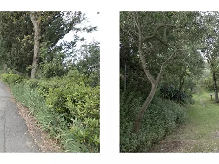 Immagine 7 di Appartamento in vendita  a San Miniato