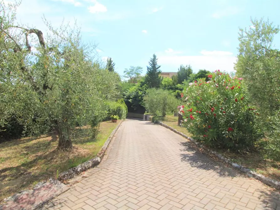 Immagine 3 di Villa in vendita  a Montopoli In Val D'arno