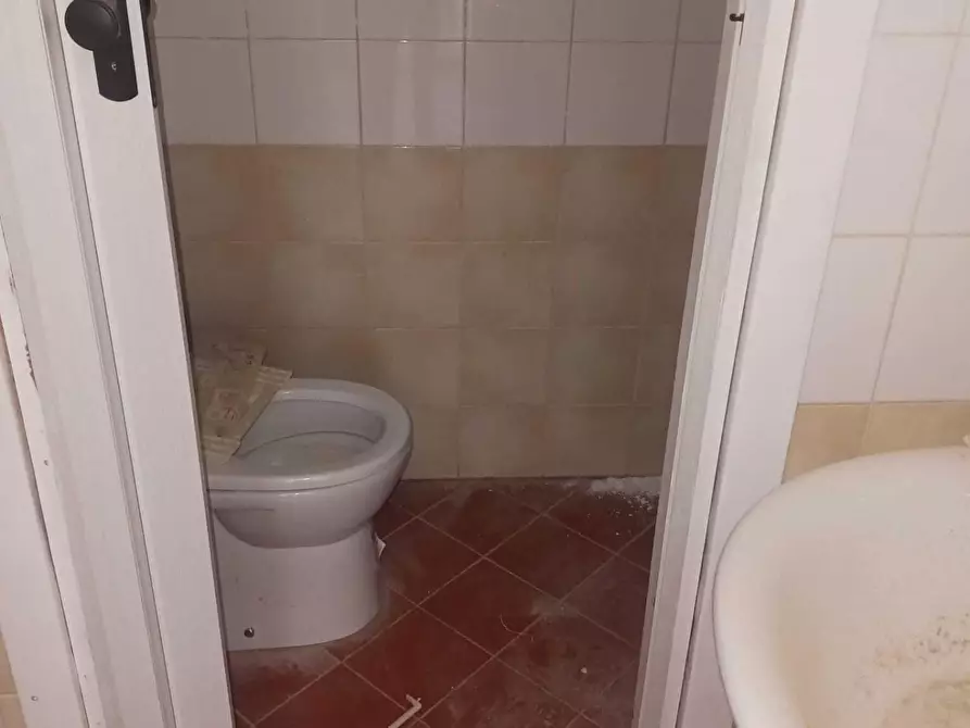 Immagine 5 di Laboratorio in affitto  a Bientina