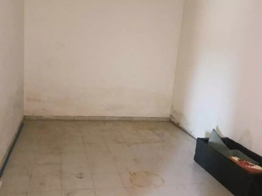 Immagine 4 di Laboratorio in affitto  a Bientina