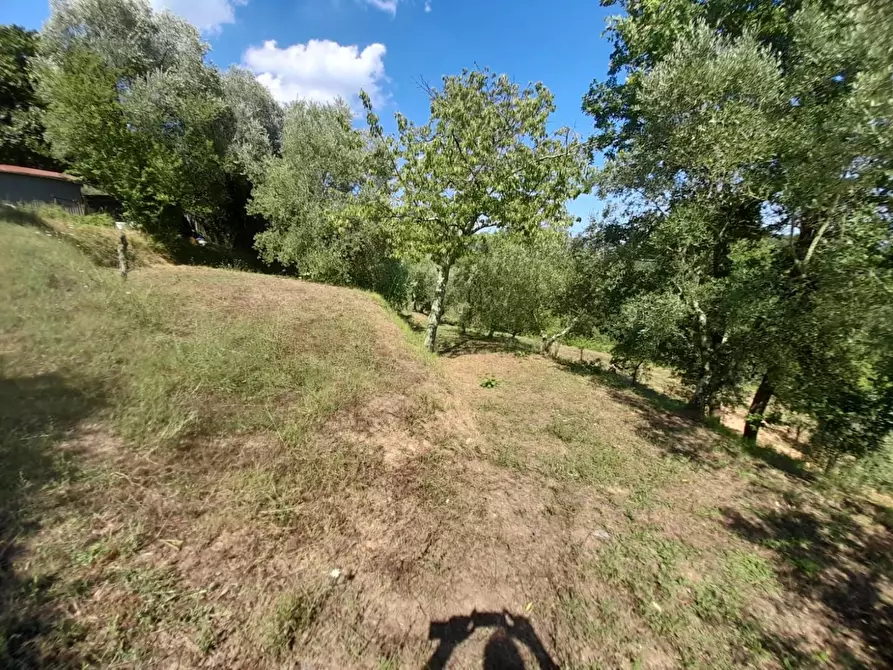 Immagine 9 di Porzione di casa in vendita  a Fucecchio